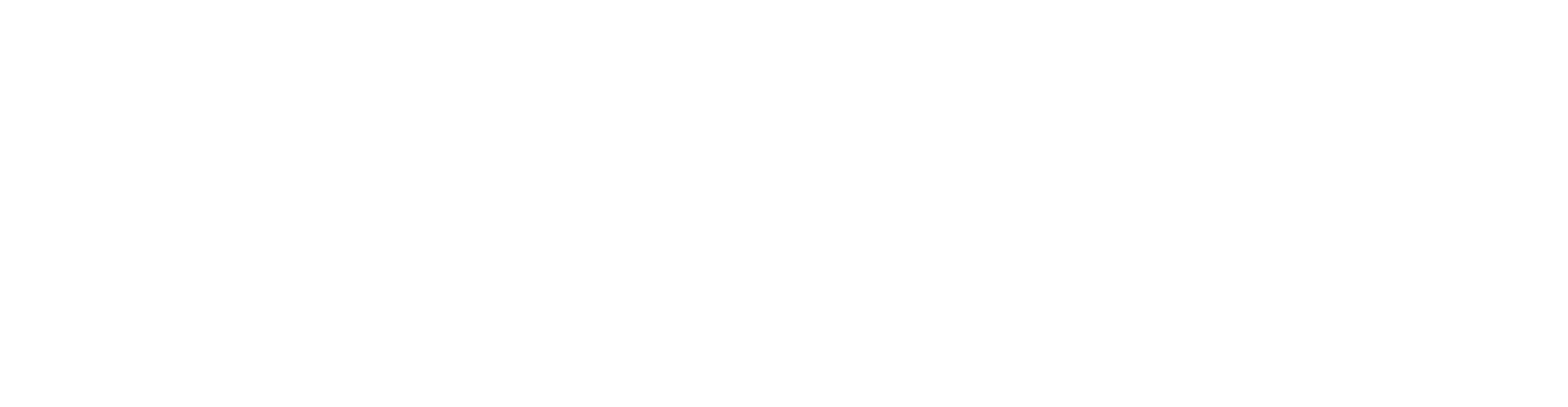 logo-groot-wit-vrij-Cafe-Stevens-Amsterdam